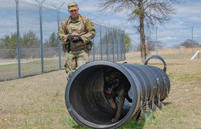 ASSIST, PROTECT AND DEFEND