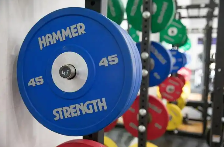 Gyms