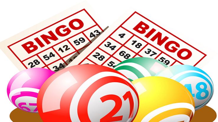 bingo-1.jpg