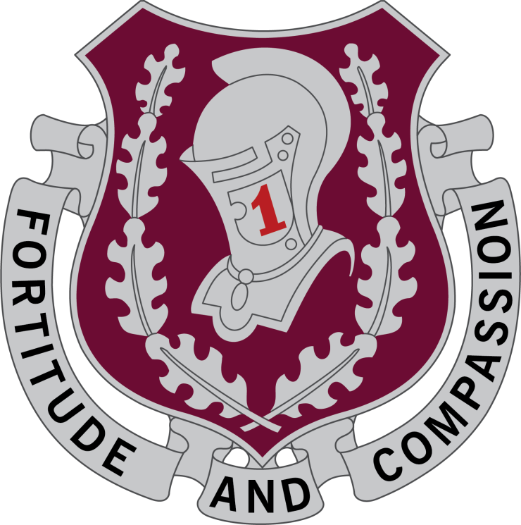 1st Medical Brigade_DUI.png