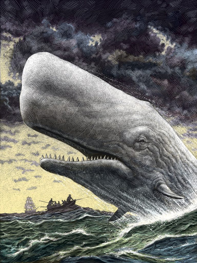 A really big fish?