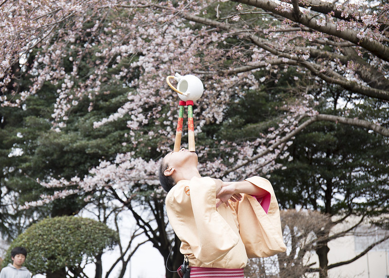Japan 34395870336_96d42fcddb_c.jpg