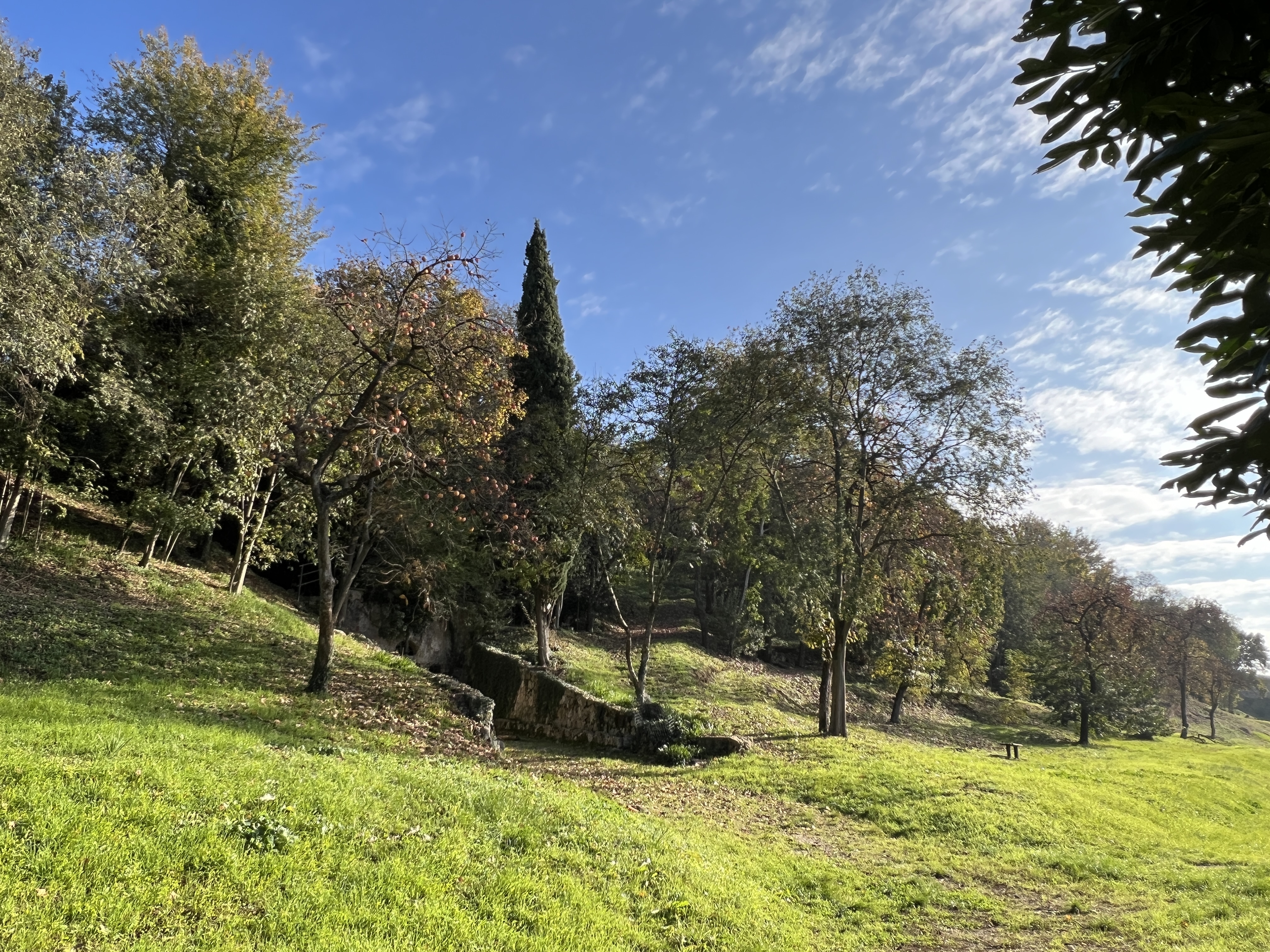 Altavilla_IMG_9700.JPG