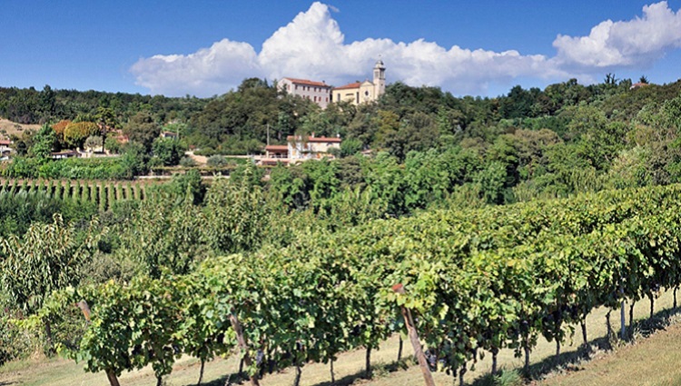 ITINERARIES IN THE BERICI HILLS