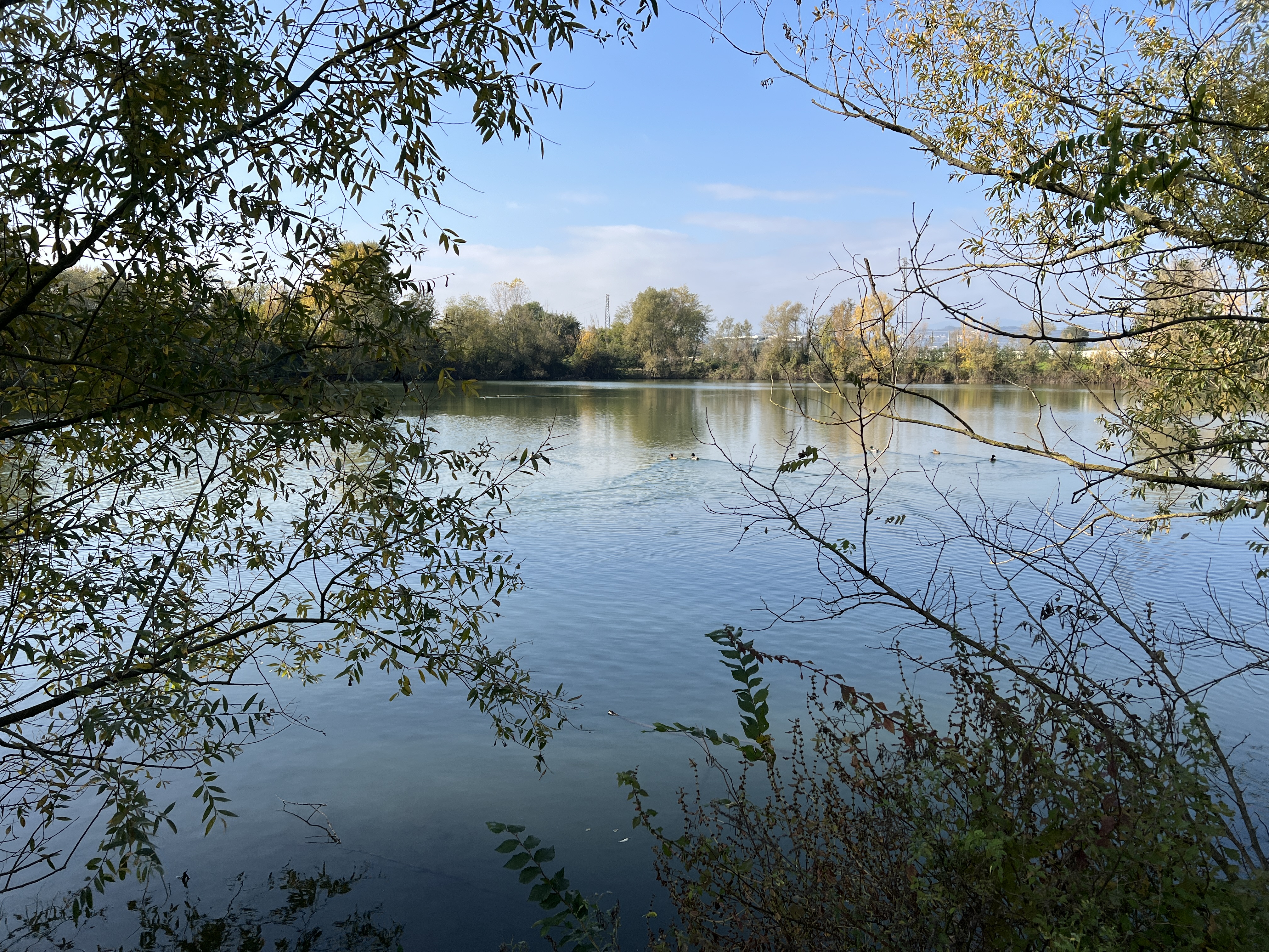 Altavilla_IMG_9837.JPG