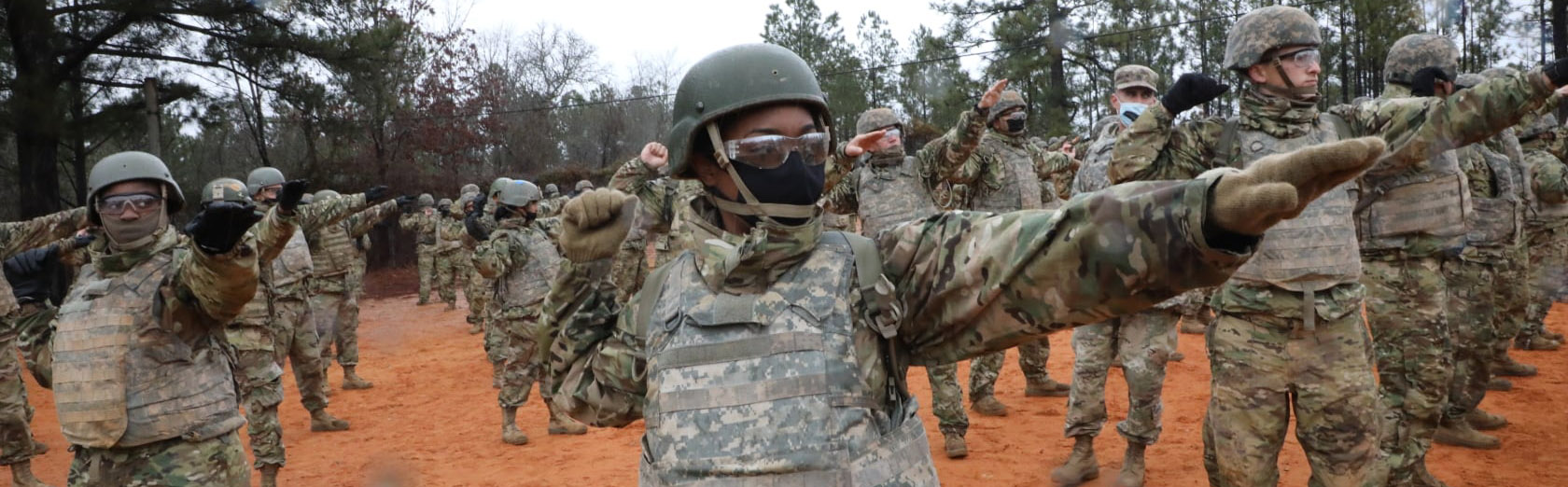 4th Battalion, 39th Infantry Regiment