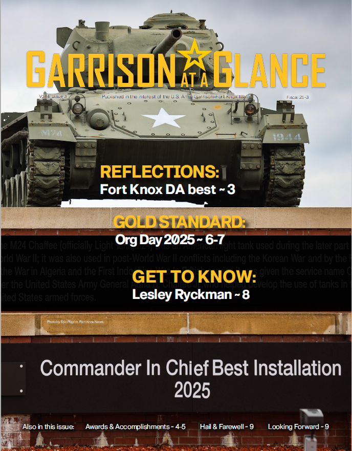 issue 25 vol 3.png