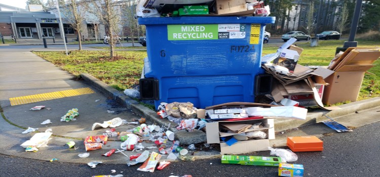 Illegal dumping is ugly. 