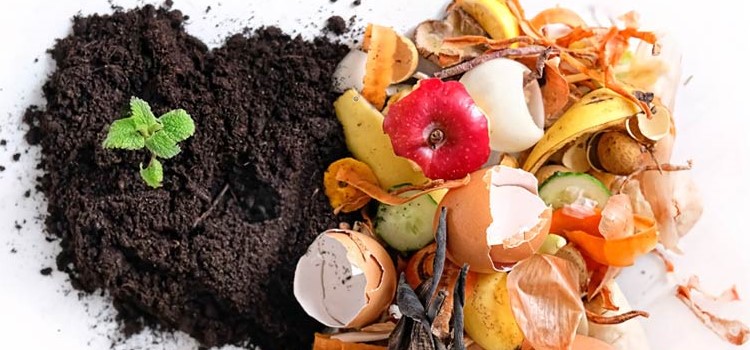 Food waste becomes compost on JBLM, and used in troop projects. 