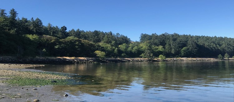JBLM Wastewater treatment plant sends treated water to the Puget Sound