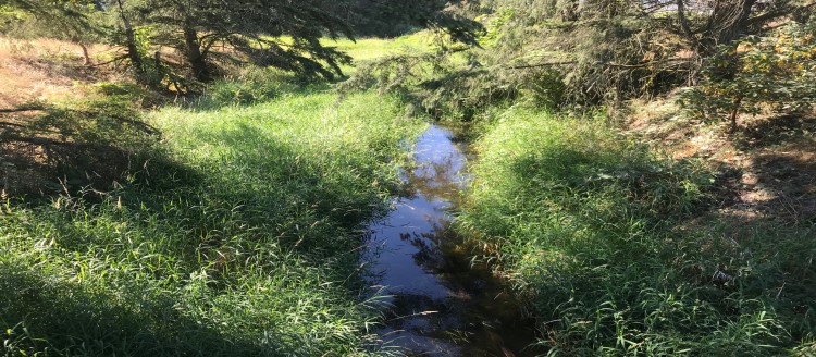 Whatever you dump on the ground, can get into our creeks, lakes, and the Puget Sound. If you see a rainbow shine heading towards a storm drain, please call 911 JBLM for spill response. 