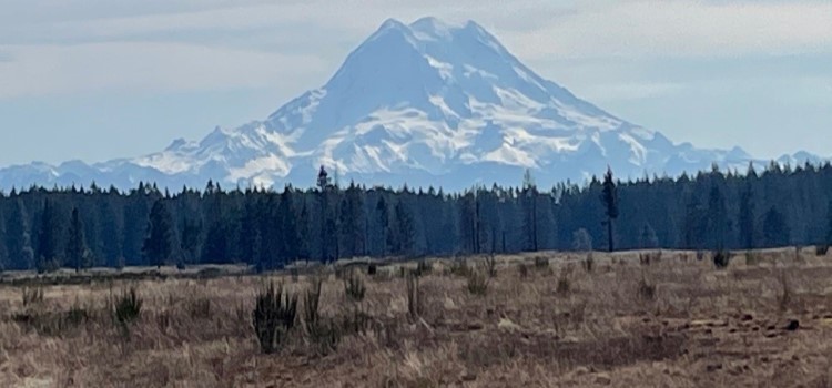 Mt. Rainier towers over the South Sound prairie on JBLM training areas