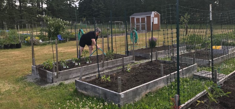 Community Gardens on Lewis and McChord are available to the entire JBLM community