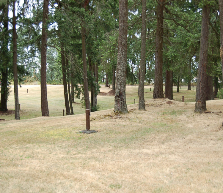 The SS-34N source area is a vacant forested area with  monitoring wells installed for quarterly sampling of TCE.