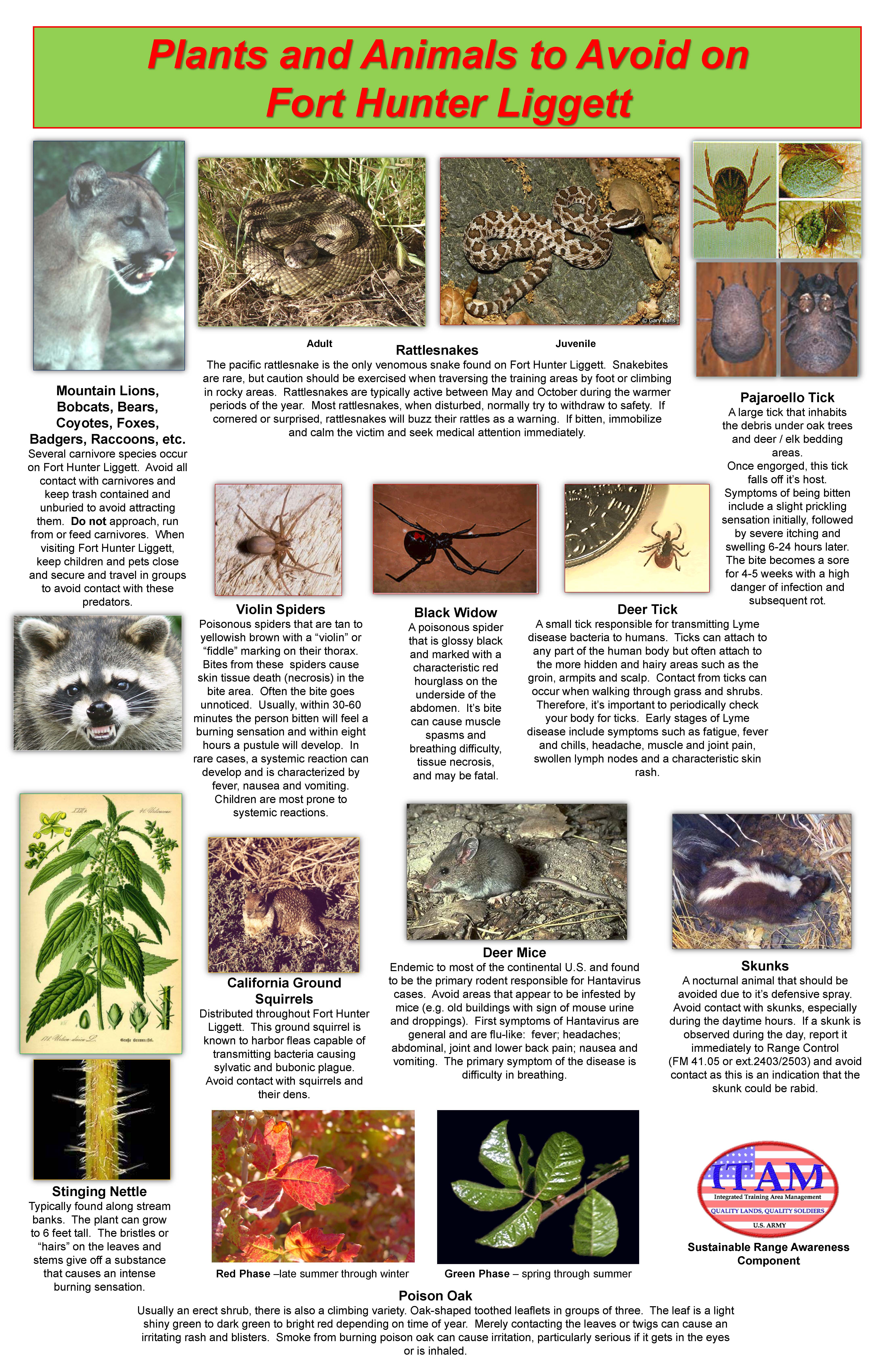 Wildlife to Avoid at FHL