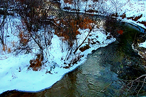 Creek 12.jpg