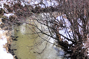 Photo: A view of Tarr Creek, a trout stream, is shown Jan. 14 at Fort McCoy. It’s one of many trout streams at the installation that has brook trout as well as brown trout.