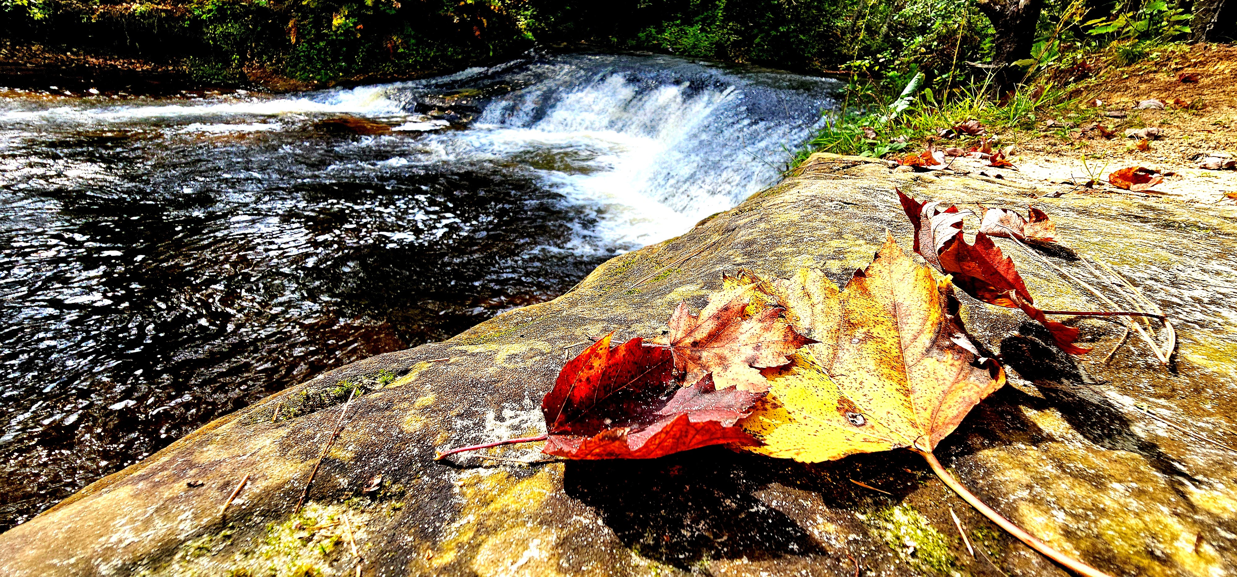 VIDEO: Early Fall scenes at Pine View Recreation Area's Trout Falls