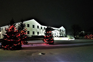 HQ lights.jpg