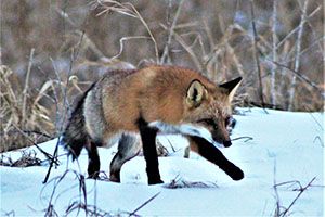 IMG_8065.jpg