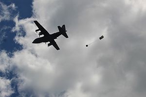 4576686.jpg