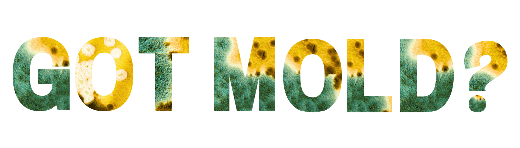 GOT MOLD?