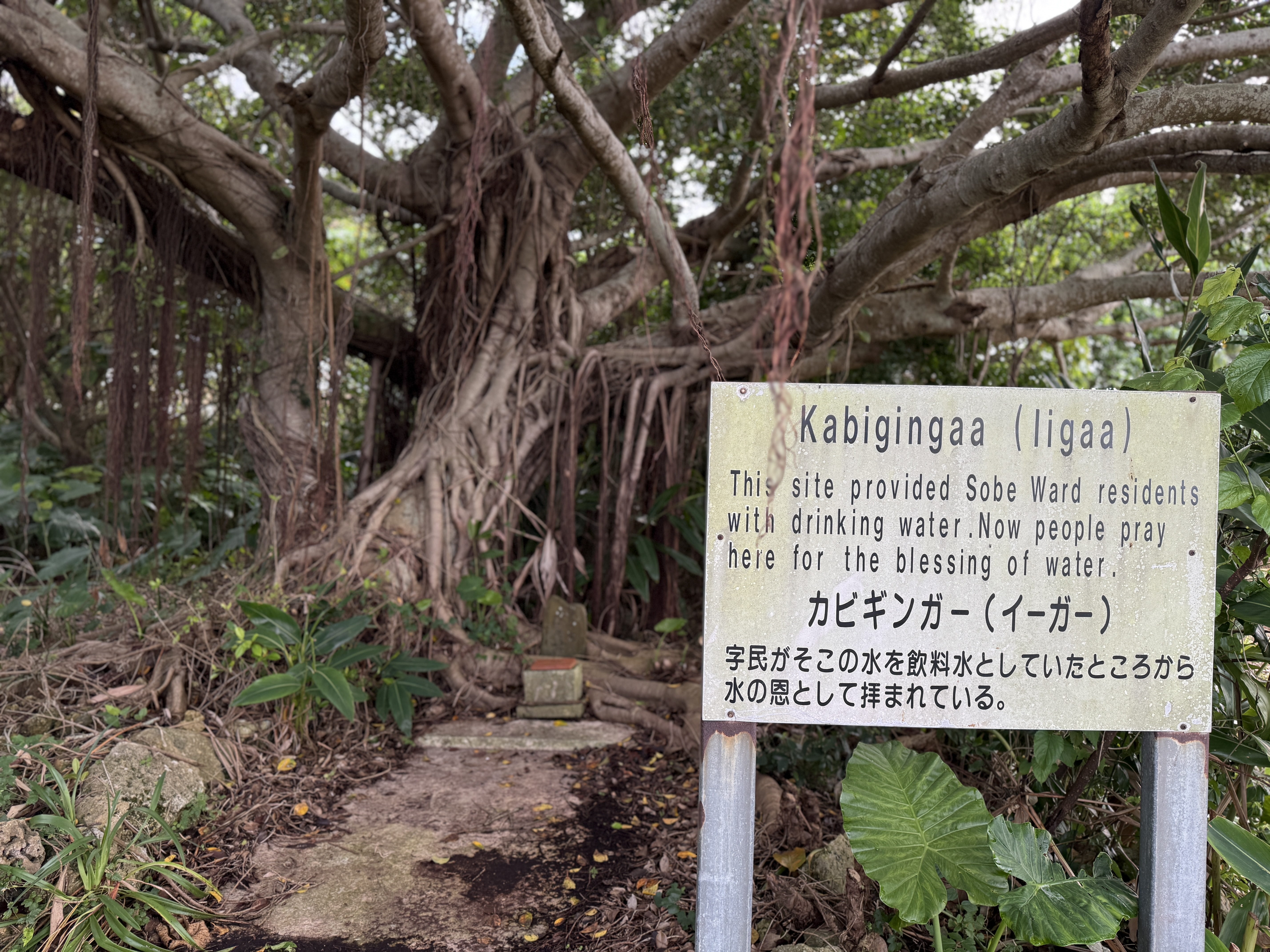 Sacred Utaki on Torii Station 