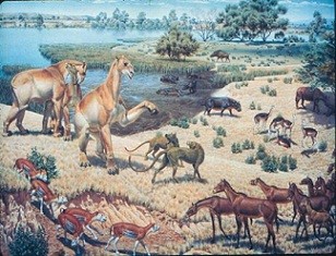 Miocene.jpg