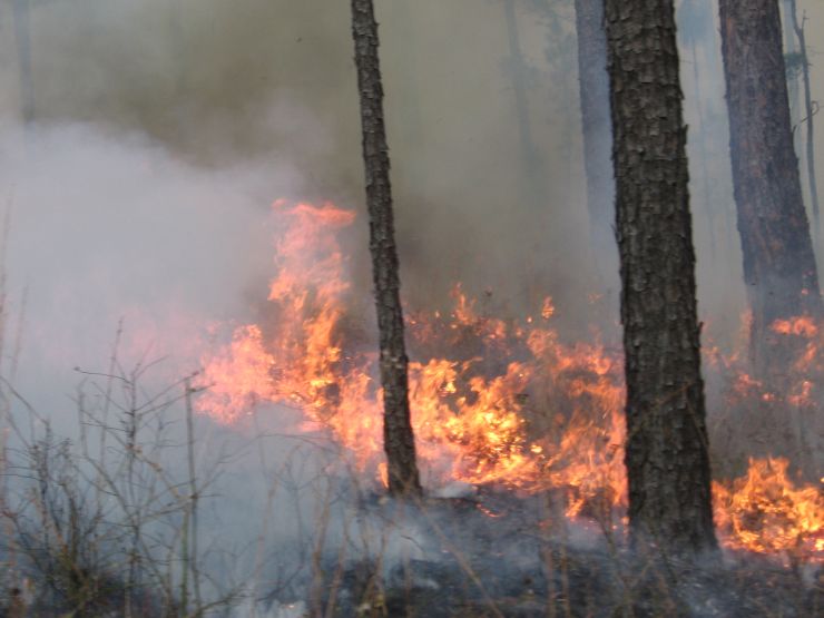 C29Burn 077.jpg