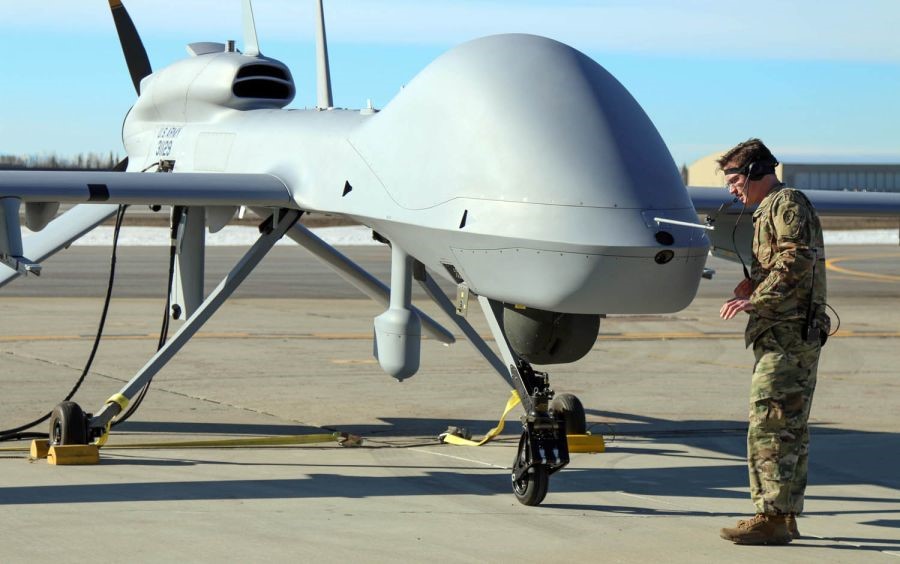 Gray_Eagle.jpg