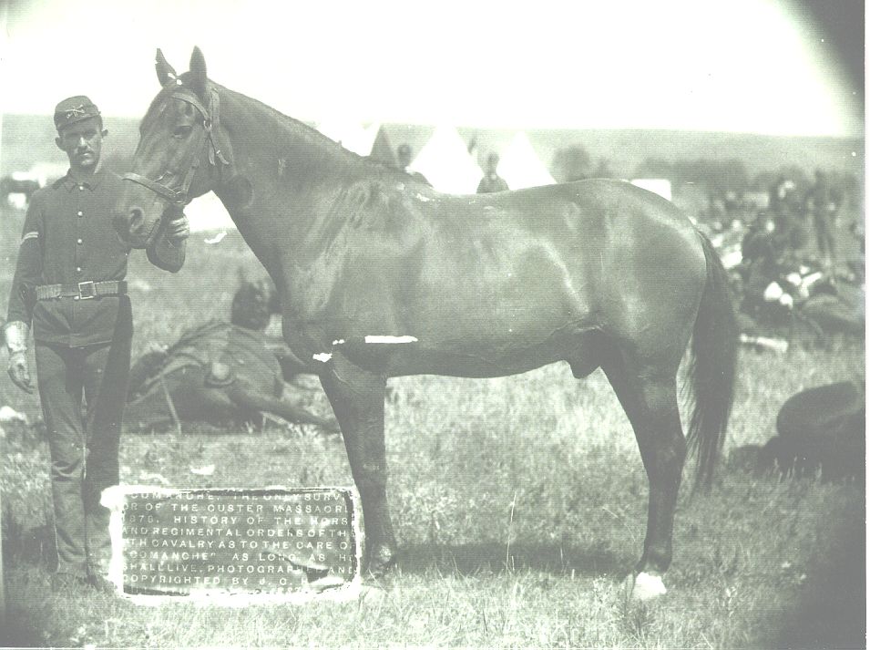Commanche-090429-R-FR000-004.jpg