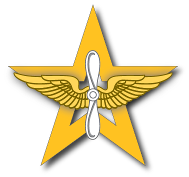 AviationStarWings - with shadow.png