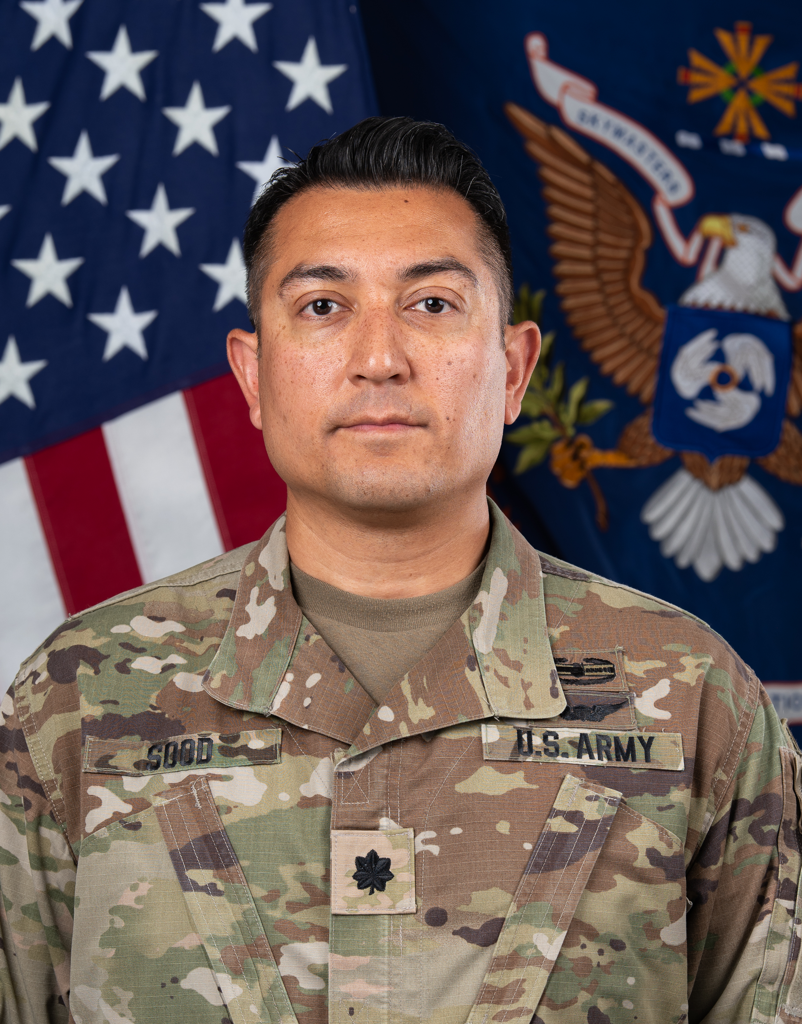 Commander, 1st Battalion, 222d Aviation Regiment