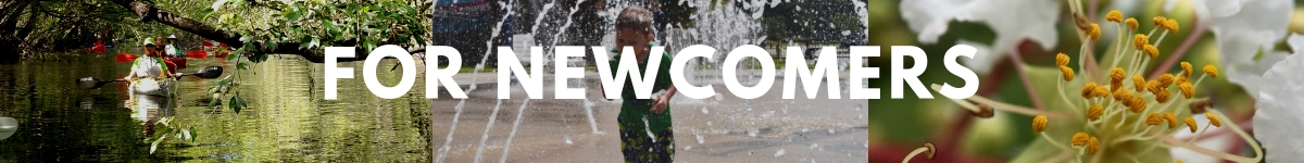 For Newcomers