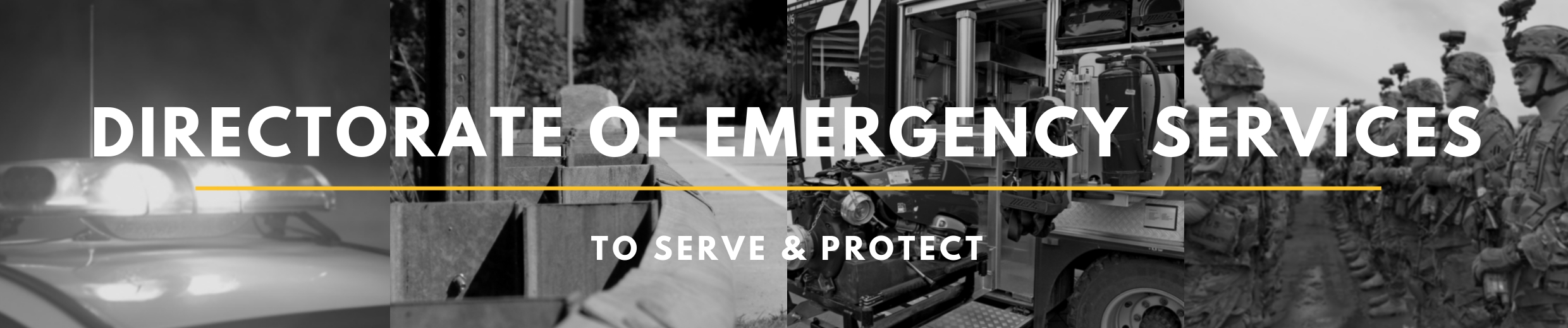 Directorate of Emergency Services