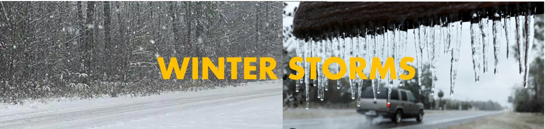 Winter Storms Winter Storms Tab Banner