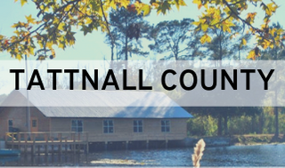 Tattnall County