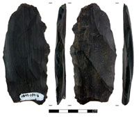 This stone tool was discovered at the Hurricane Bluff site.