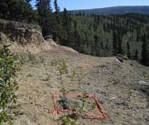 This view of the Hurricane Bluff site shows artifacts marked by orange flagging. With the site exposed and minimal vegetation to stabilize soil, the site is rapidly eroding and the bluff face on the left is collapsing.