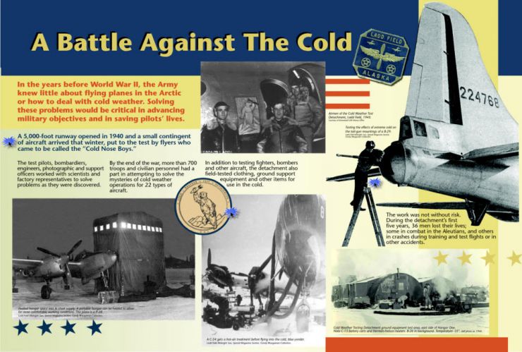A Battle Against the Cold Panel Image