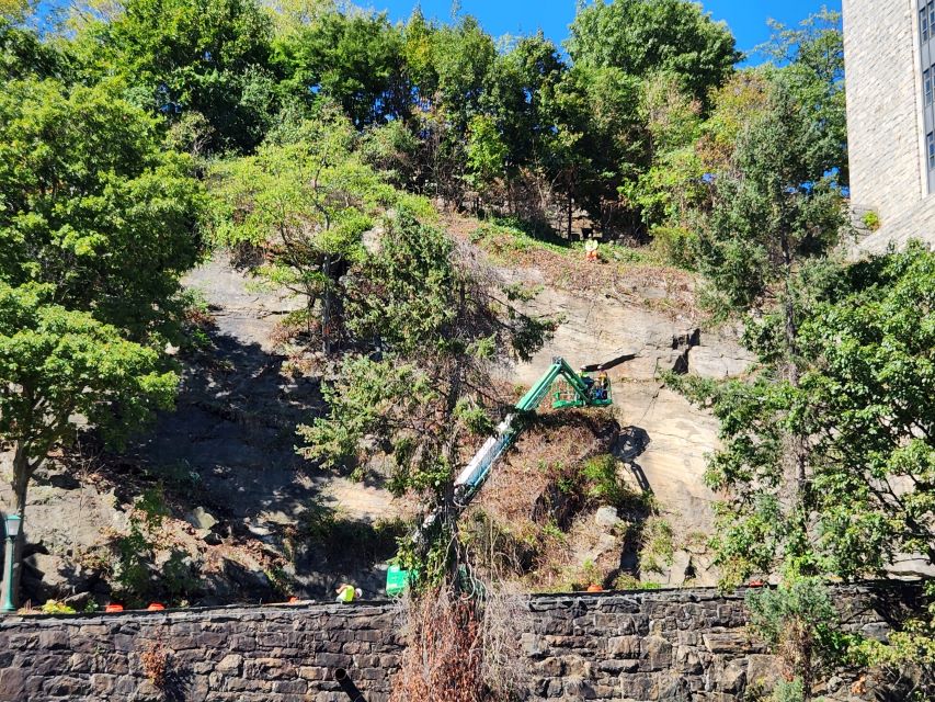 Williams Road Rock Removal