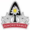 31st Engineer Battalion Crest