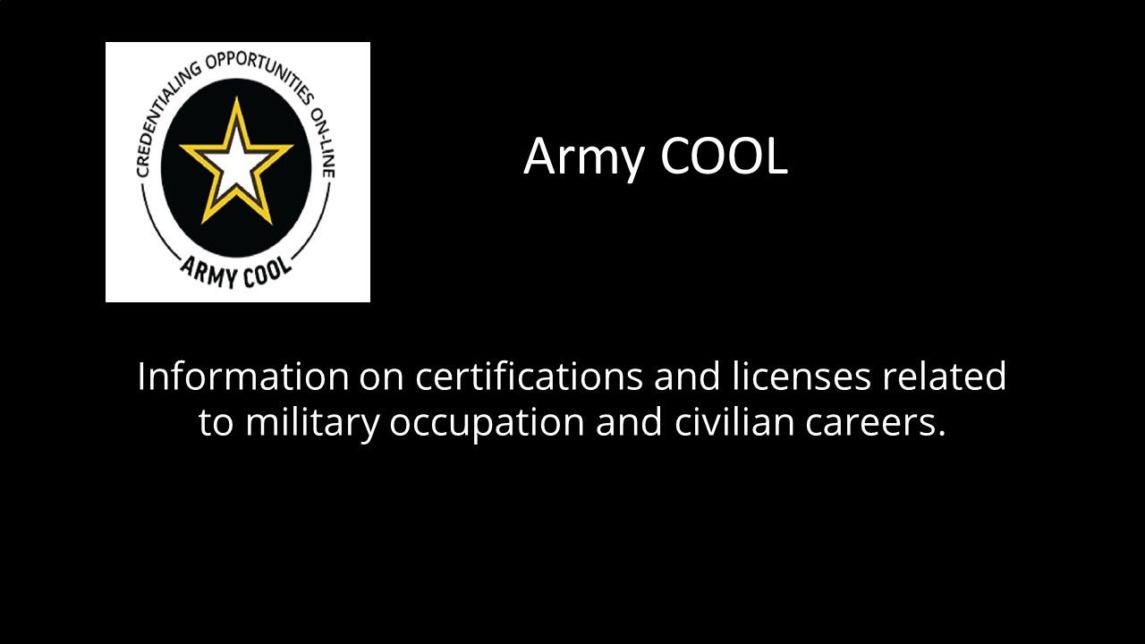 cool slide.jpg
