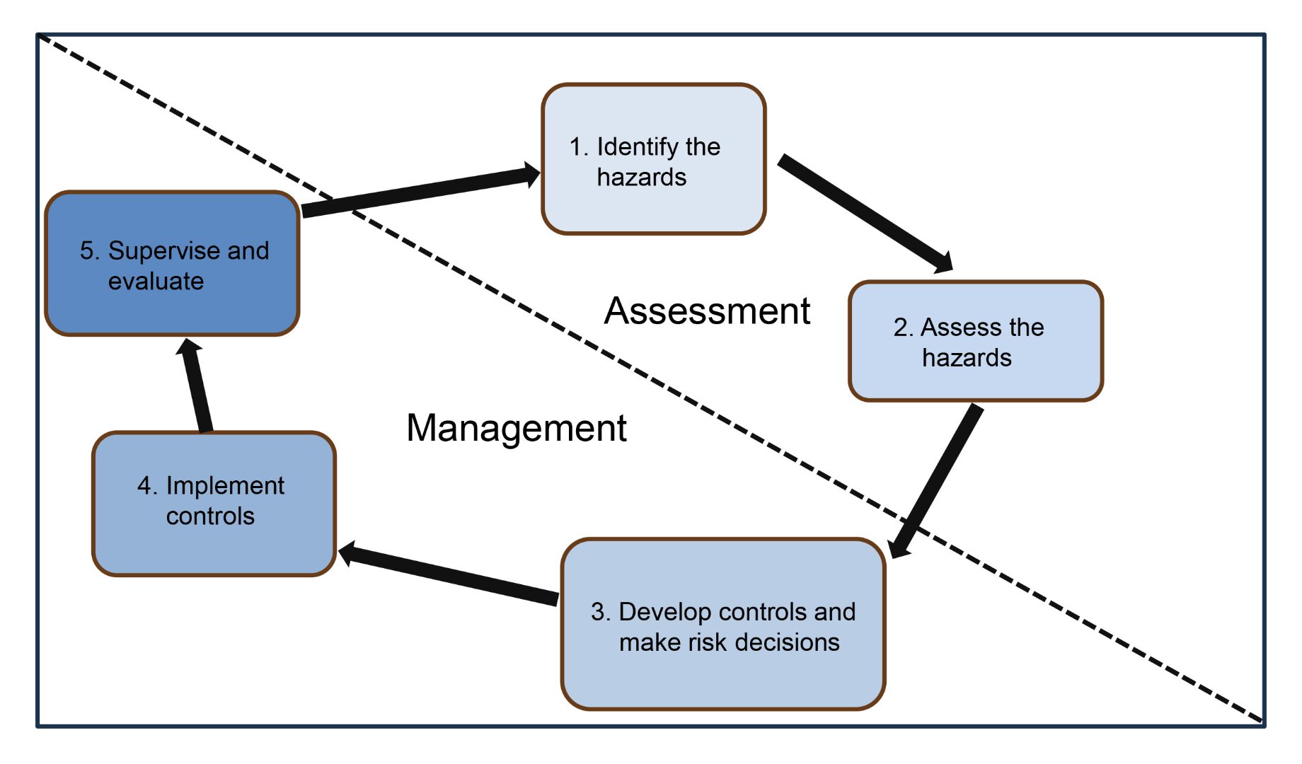 Figure 1. Assessment Steps and Management Steps